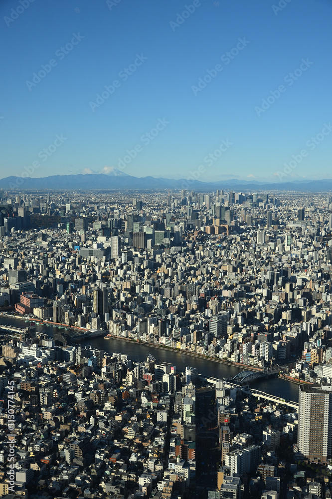 Obraz premium 富士山と隅田川、東京スカイツリー天望デッキより