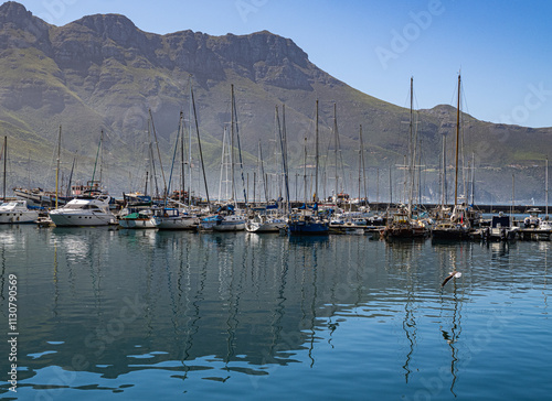 Hout Bay Harbour photo