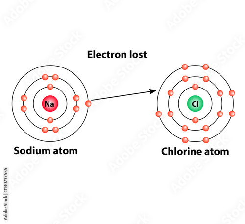 Electron lost. sodium atom and chlorine atom chemistry Organic compound. black line vector 2d shape