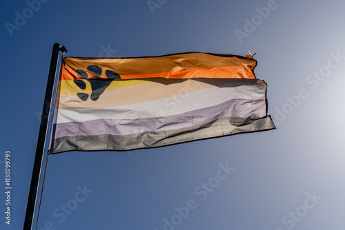 International Bear Brotherhood gaypride flag LGBT Community