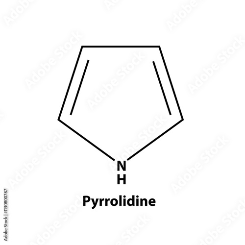 Pyrrolidine. chemistry Organic compound. black line vector 2d shape