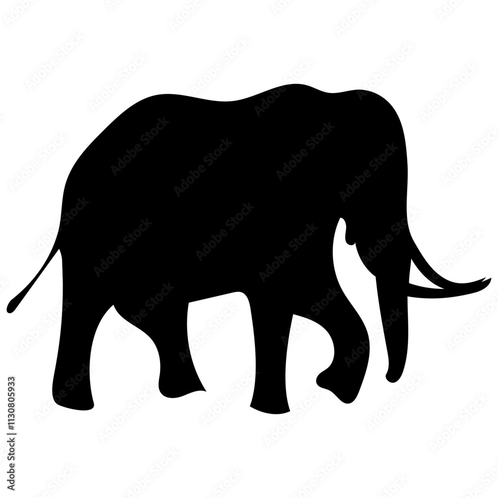 Obraz premium elephant isolated on white