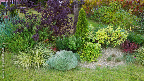 Silvermound Plant (Artemisia schmidtiana) - Elegant Silver Foliage