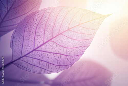 Details of structured veining on a delicate leaf illuminated by soft light photo