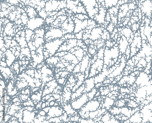 Branches of Blackthorn. Vector drawing