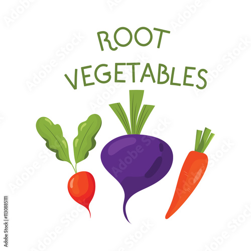 Vector illustration with  fresh organic food. Set of  cute hand drawn vegetables on a white background