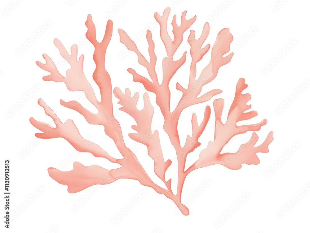Obraz premium Delicate Coral Branch in Soft Pink Hue