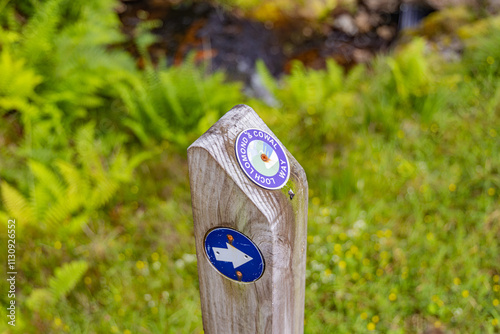 Loch Lomond and Cowal Way signposts, trail markers, Ardgartan forest, Arrochar, Scotland