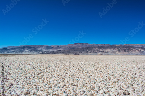 Salar de Antofalla photo