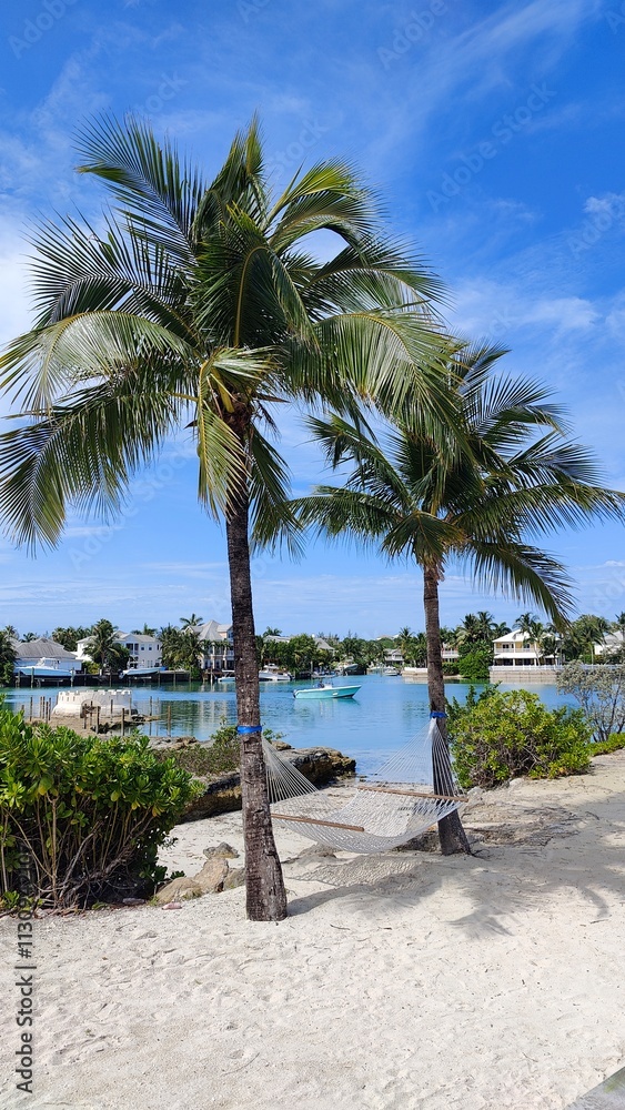 Obraz premium Hammocks between two palm trees on a paradise island beach