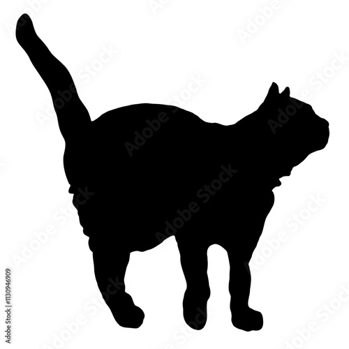 Silhouette of a cat standing with its tail raised on a transparent background, capturing the feline's elegant posture and curious nature.