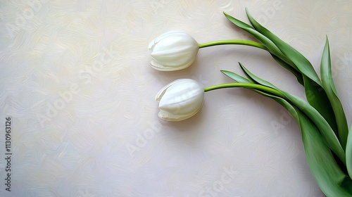 Two graceful white tulips with vibrant green stems against a light abstract gray background