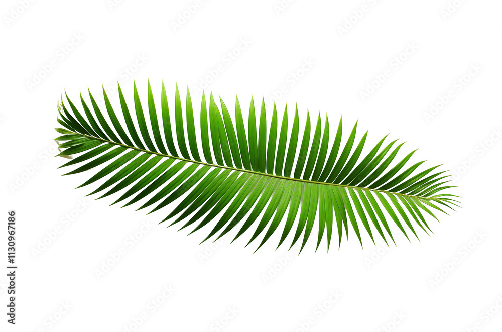 Fototapeta premium Vibrant Palm Frond Glitch Art Tropical Paradise Digital Distortion