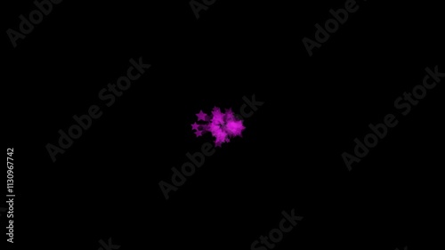 Pink star explosion with alpha HD animation