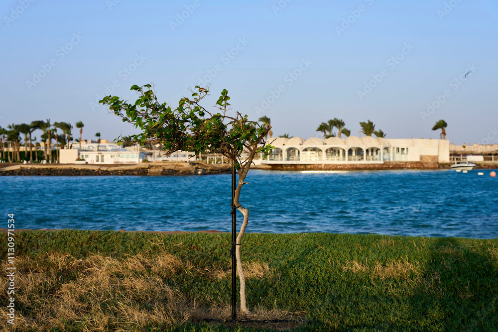 Fototapeta premium Ägypten/ Hurghada