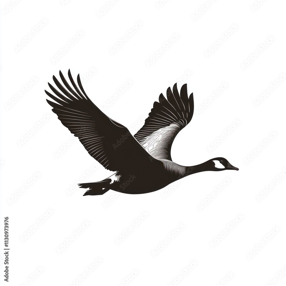 Obraz premium Black and white illustration of a goose in flight.