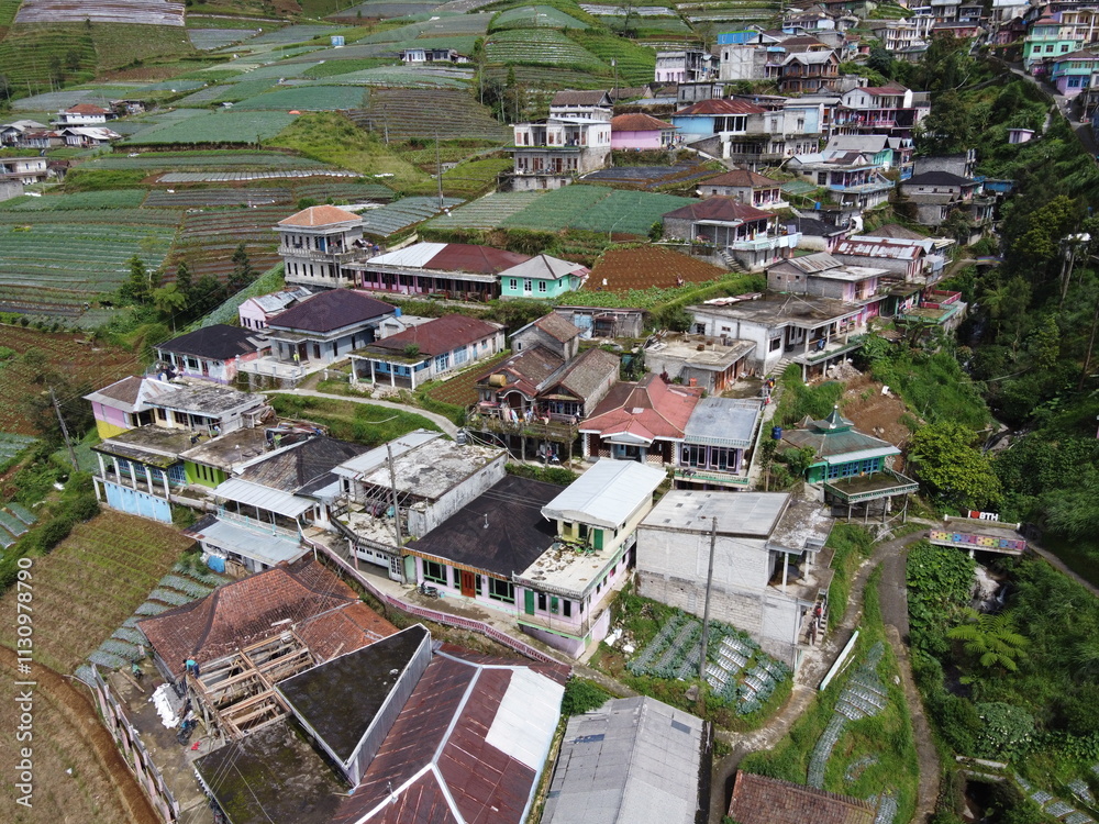 Fototapeta premium The beauty of the landscape Leek and vegetable plantations and architecture of the arrangement of terraced houses in the tourist area of ​​Nepal van Java, Butuh Hamlet, Magelang, indonesia