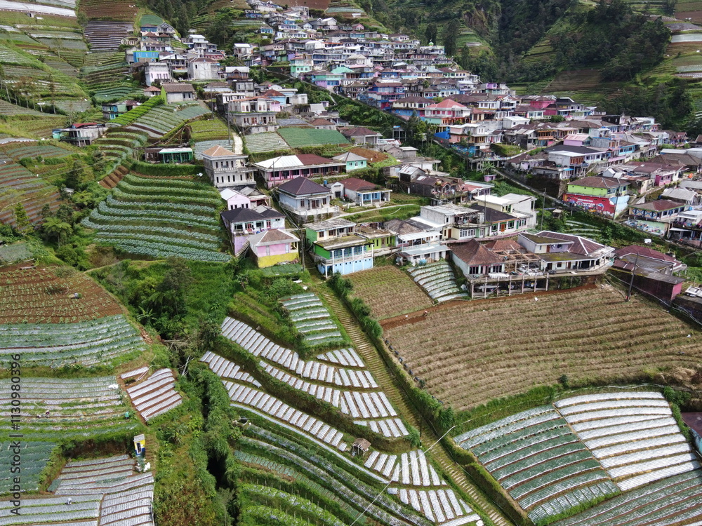 Fototapeta premium The beauty of the landscape Leek and vegetable plantations and architecture of the arrangement of terraced houses in the tourist area of Nepal van Java, Butuh Hamlet, Magelang, indonesia