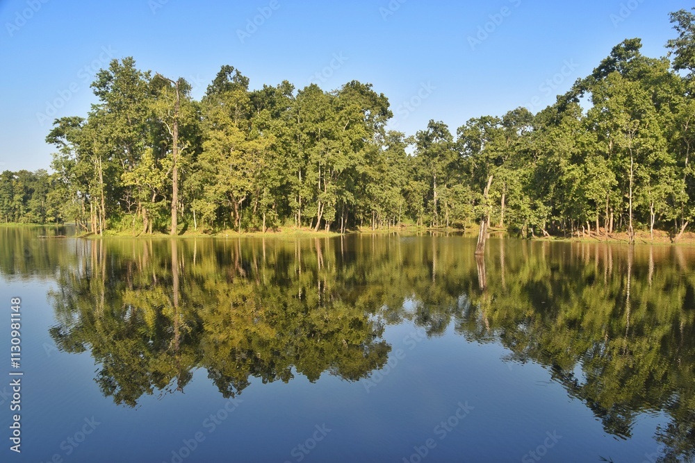 Fototapeta premium A peaceful forest lake with calm water reflections of the lush green trees
