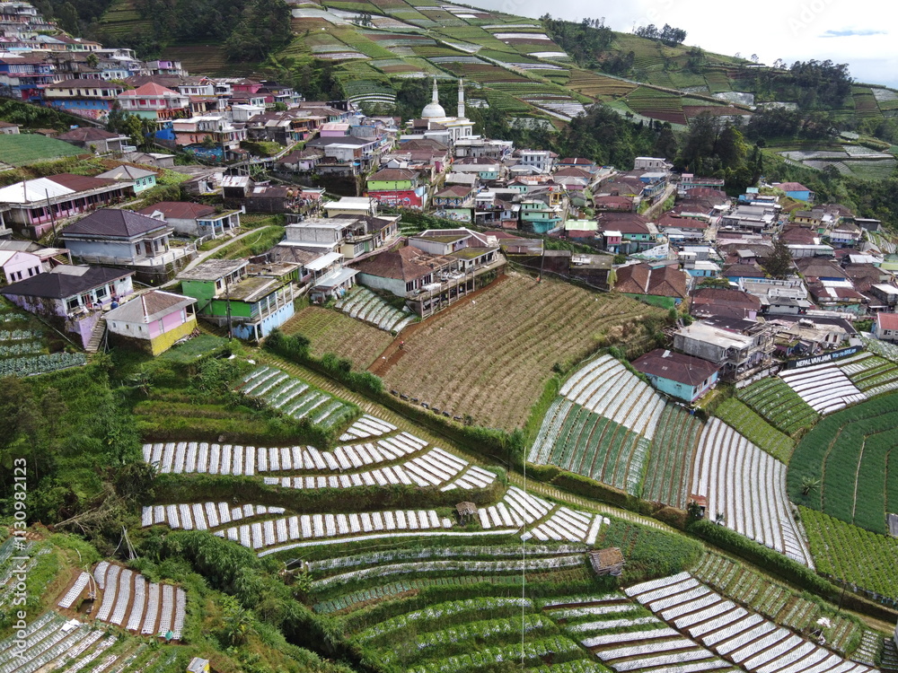 Fototapeta premium The beauty of the landscape Leek and vegetable plantations and architecture of the arrangement of terraced houses in the tourist area of ​​Nepal van Java, Butuh Hamlet, Magelang, indonesia