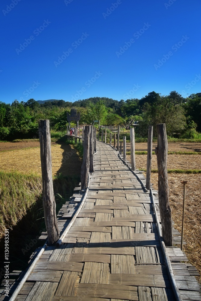 Fototapeta premium Jungle and rainforest landscapes in Brunei on the Asian island of Borneo