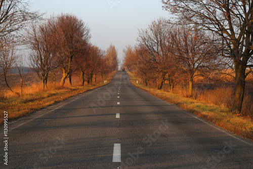 road in autumn