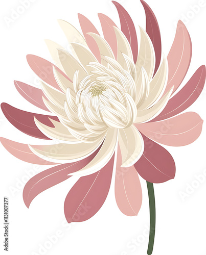 Cool simple chrysanthemums flower vector art, featuring elegant, minimalist design with clean lines and soft colors. Created With Generative AI