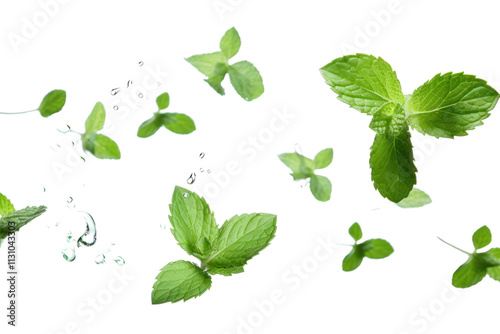 A serene image of mint leaves falling gracefully through the air, captured mid-motion, isolated on white background