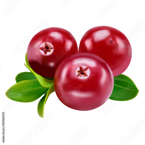 Cranberry with leaves isolated on white background with full depth of field