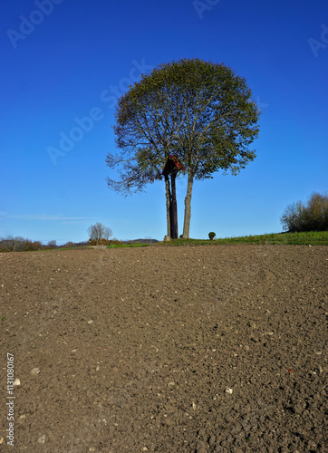 Feldkreuz zwischen Baumgruppe an einem gepflügten Acker; Schwäbische Alb photo