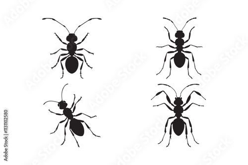 Set of Four Detailed Ant Silhouettes for Insect Vector Art Design