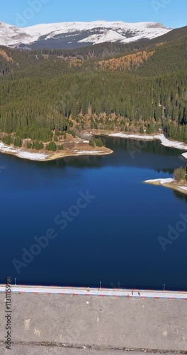 Aerial drone view of the Bolboci Lake in the heart of the mountains, near Brasov, Romania. Vertical photo