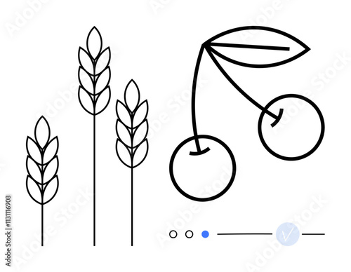 Wheat stalks and cherries drawn in simple black lines. Ideal for agriculture, nature, food industry, health, organic products, labels, minimalistic designs. Line metaphor photo