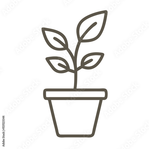 Plant in a pot representing indoor gardening and natural beauty
