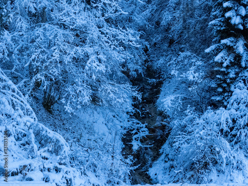 paysage hivernal avec neige et givre sur les arbres et torrent au milieu