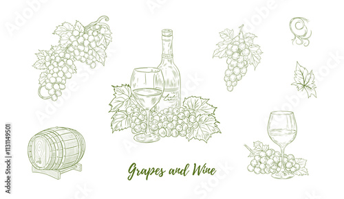 Wallpaper Mural Set of vector grape branches with grapes and leaves and glass of wine bottle, barrel, line art illustration, hand-drawn graphic line vine. Grapes hanging branch. Vine grapes. Great for any designs, te Torontodigital.ca