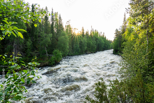 Foamy water in Aallokkokoski rapids on a summer evening in Oulanka National Park, Northern Finland photo