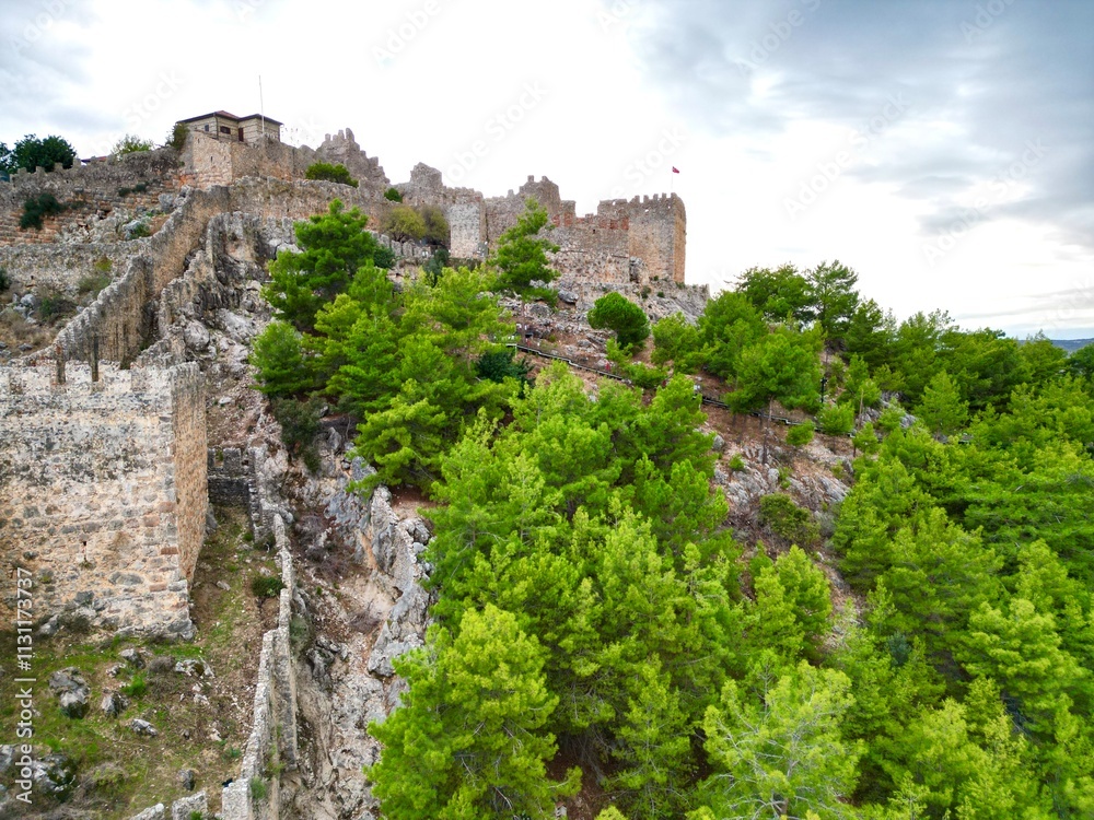 Fototapeta premium fortress on a rock coniferous trees view