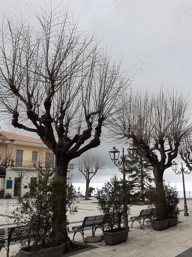 Uno scorcio autunnale della piazza di Zafferana Etnea, tra alberi secchi e lampioni. photo