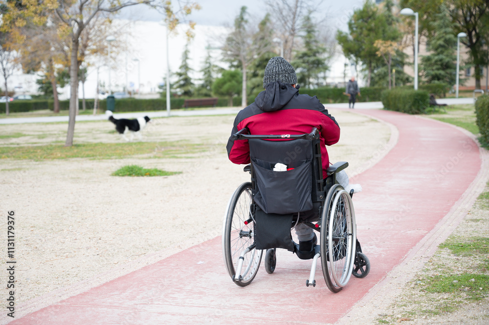 Fototapeta premium a person in a wheelchair is riding a bike in a park with a red jacket.