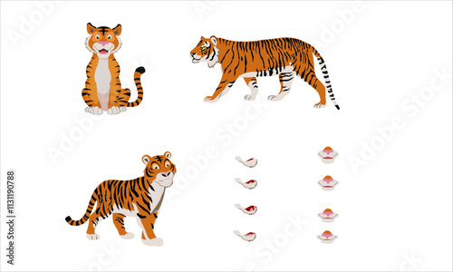 Tiger is for Animation character