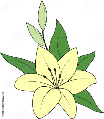 Lily. White lily. Lily is a royal flower that is often present on coats arms and in religious decorations. Symbol of purity and innocence.