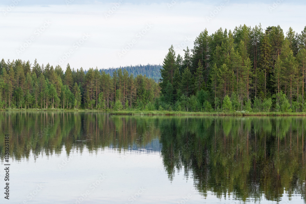 Fototapeta premium A calm evening by a lake with a reflection of nearby forests near Kuusamo, Northern Finland