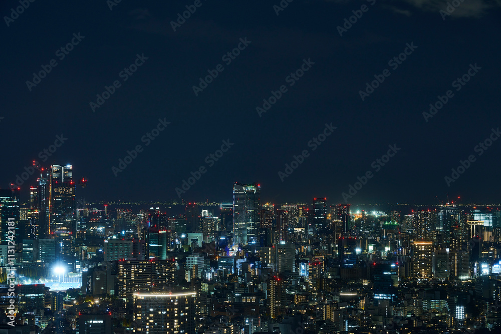 Obraz premium 静寂の中の都市、青と黒の交響曲_012