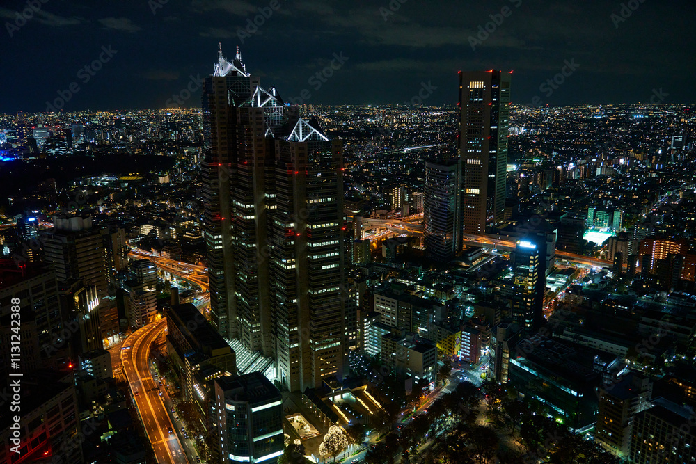 Fototapeta premium 静寂の中の都市、青と黒の交響曲_06