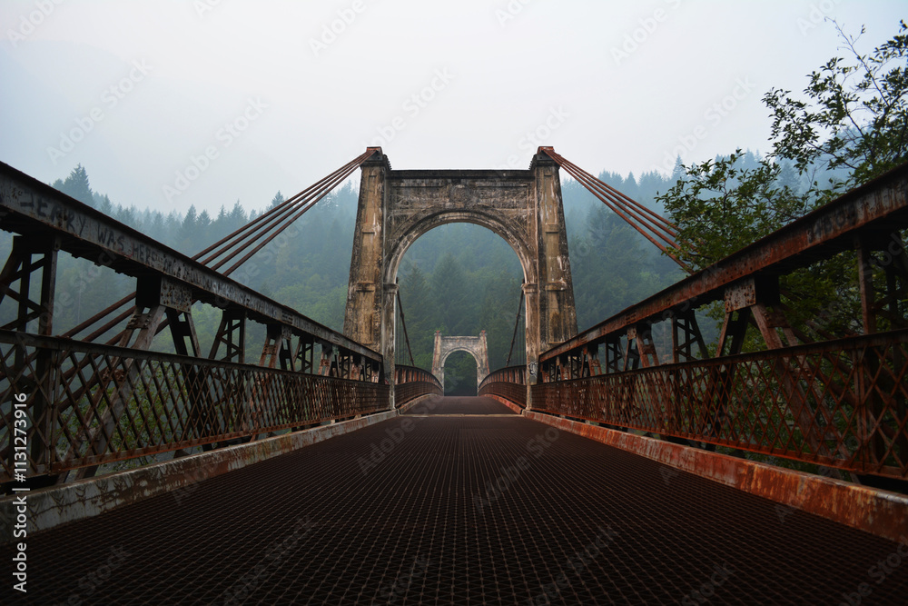 Obraz premium suspension bridge over the river