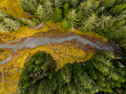 Aerial View of a Serene Wetland on Vancouver Island, Canada