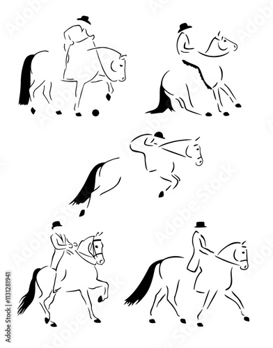 Performance Horses