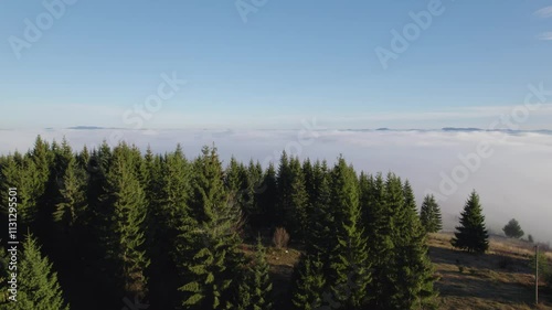 Flying over the forest and lake covered with fog