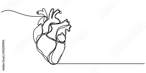 Continuous Line Drawing of Human Heart Icon. Hand Drawn Symbol Vector Illustration, Human Heart Single Line Icon, Continuous one line art anatomical human heart silhouette. Healthy medicine concept. 